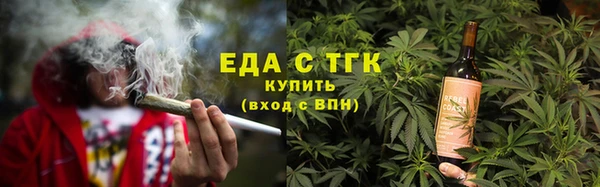 индика Ельня