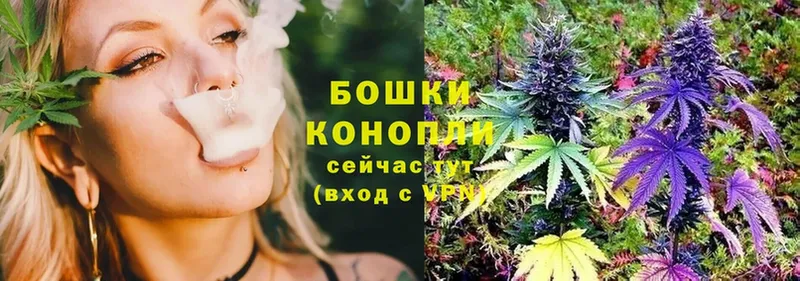 купить закладку  Адыгейск  Каннабис SATIVA & INDICA 